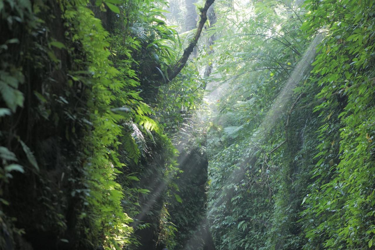 Hotel Pramana Giri Kusuma Payangan Esterno foto